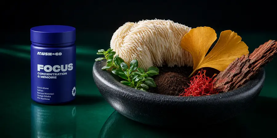 Mush N Go Focus tégely egy fekete tál mellett, benne friss süngomba, ginkgólevél, fenyőkéreg és sáfrányszálak, sötétzöld háttér előtt