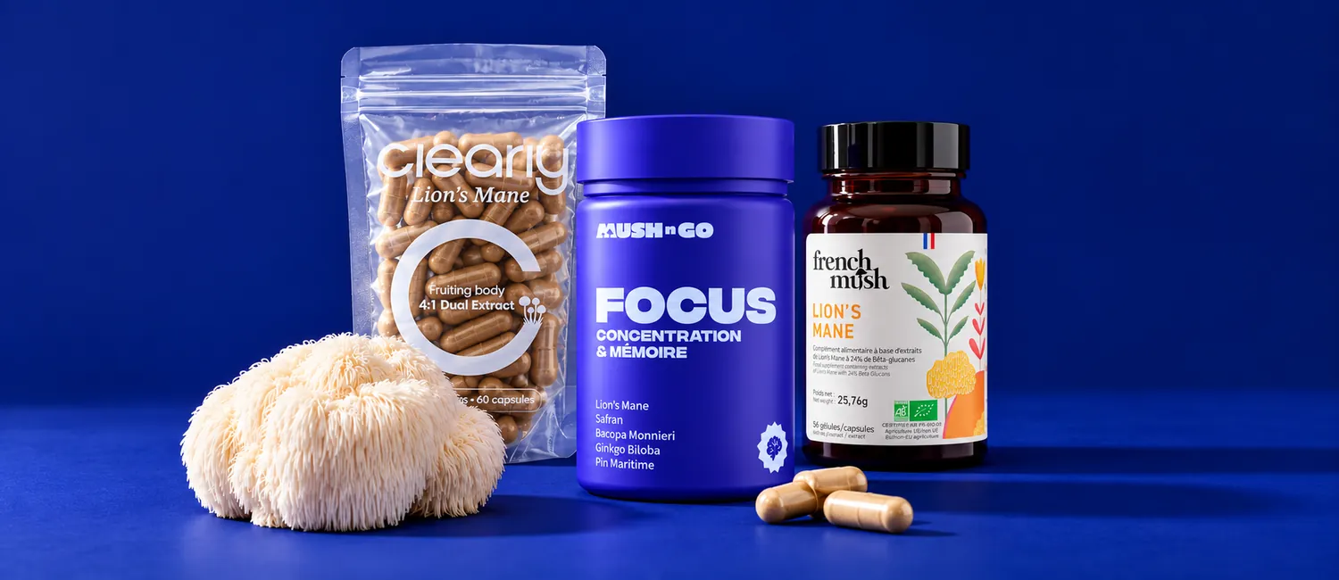Mush N Go Focus, Clearly Lion's Mane és French Mush The Lion's Mane Bio egymás mellett, előttük friss süngomba, éjkék háttér előtt